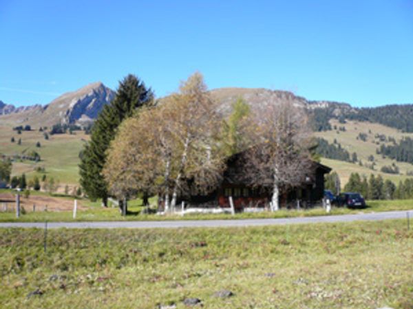La maison de Viliam
