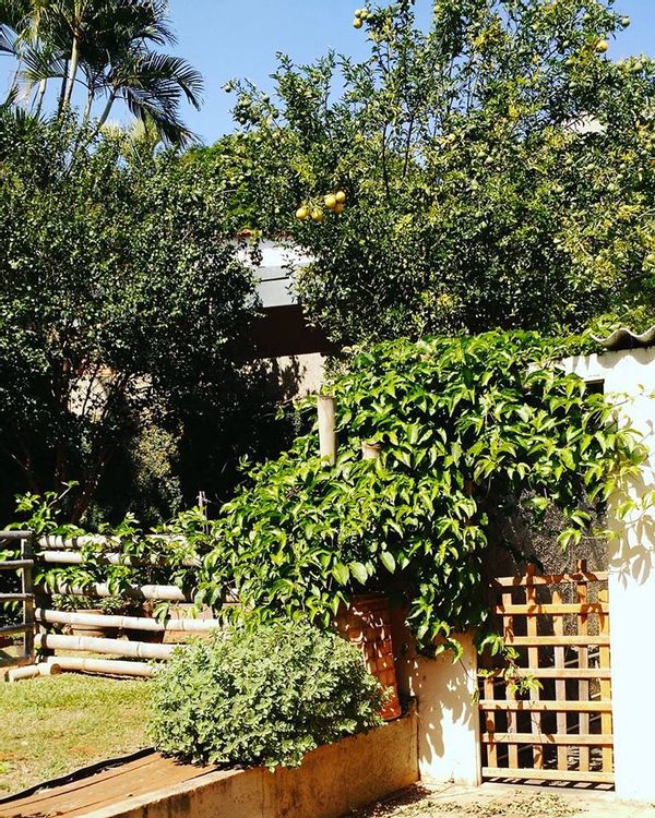 La maison de Ana Carolina