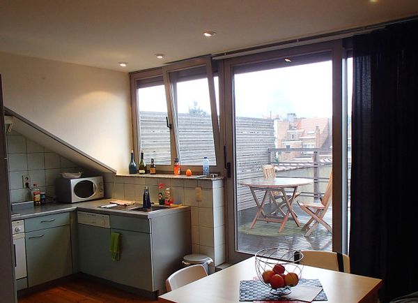 appartement sous les toits avec grande terrasse plein sud