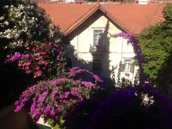 La maison de Filomena