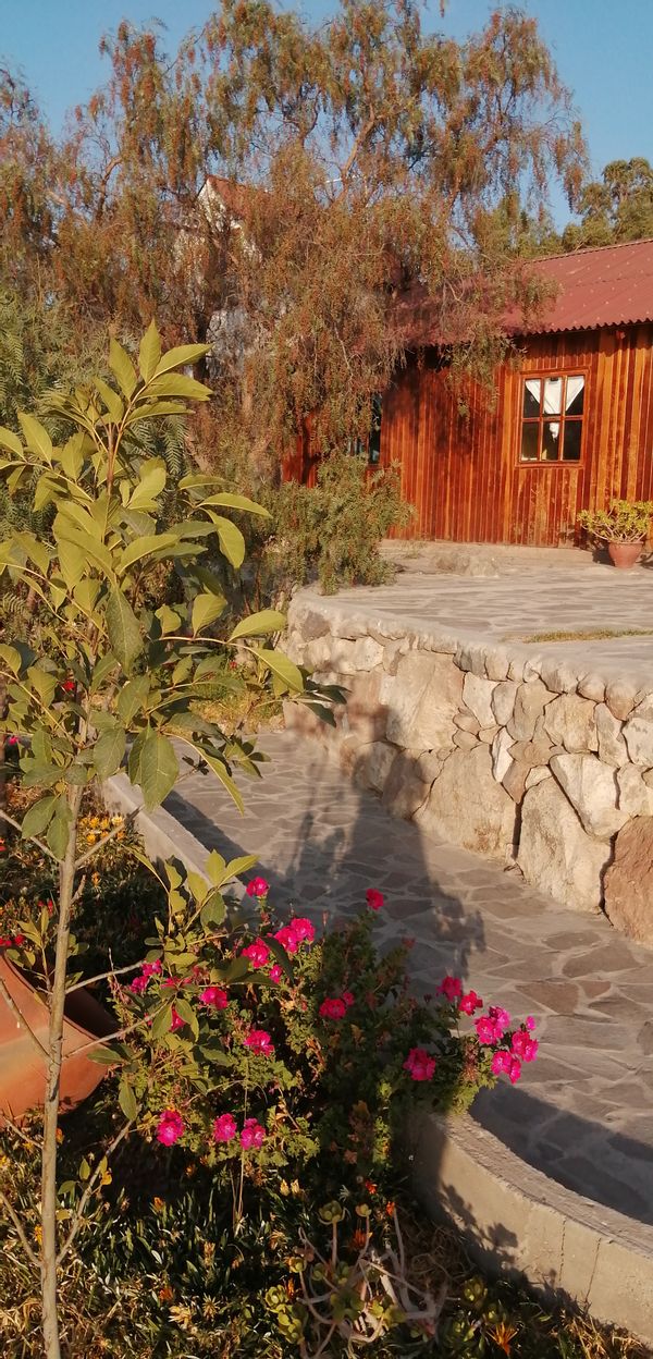 La maison de silvia