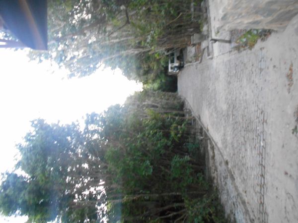 Pipa Villa Nativa